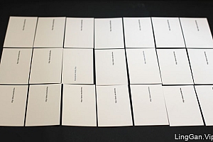 俄罗斯Alevtina Khabibova创意手工名片设计