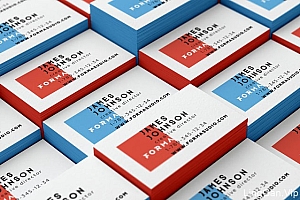 俄罗斯Artem Bulbfish商务名片设计欣赏