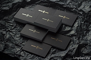 Shard Fund投资管理公司名片设计欣赏