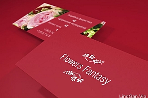 俄罗斯Julia Vidanova商业名片设计欣赏