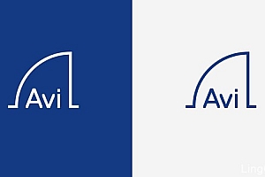 建筑师Vinas个人创意名片设计欣赏