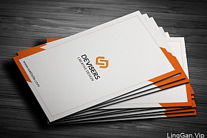 Deviser Studio工作室商务名片设计欣赏