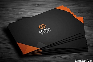 OPIXELS工作室企业名片设计欣赏
