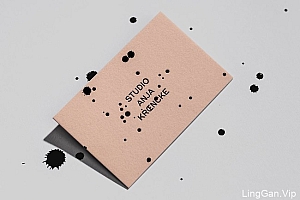 美女设计师Anja Kroencke个人创意名片设计