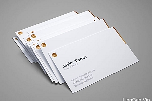 墨西哥设计师Javier Torres极简名片设计