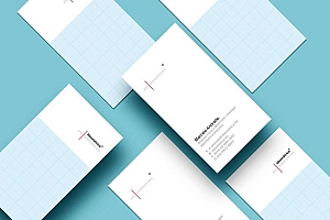 墨西哥Sergio Vichique企业名片设计作品