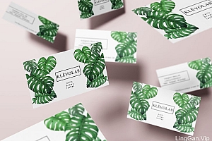 KLEVOLAB美容院名片设计欣赏