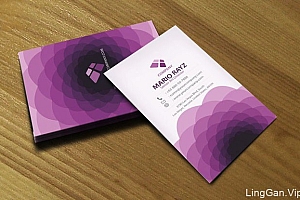LemonGraphic名片设计与名片模板作品