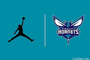 据说飞人乔丹Logo将出现在夏洛特黄蜂队球衣上- 灵感