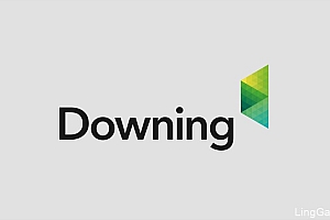 英国新能源集团Downing品牌形象设计- 灵感