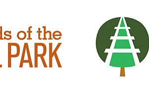 美国费城铁路公园 (The Rail Park) 视觉形象- 灵感