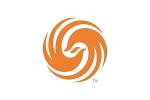 凤凰卫视解密:LOGO设计费就花了400万,你说值不值?- 灵感