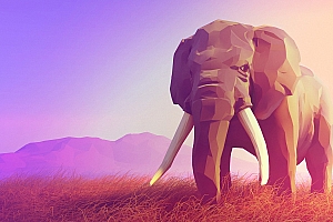插画作品-孤独原野上的大象- 灵感