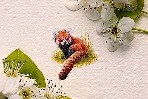 微型小动物水彩绘画插画艺术作品分享- 灵感