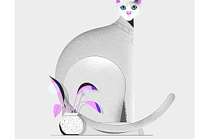 温情时光!一组扁平动物灵感插图- 灵感