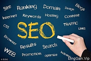 在哪里可以免费自学seo课程?- 灵感