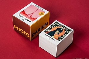 国外漂亮的Photodarium 2017日历设计赏析- 灵感