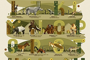 19例优秀的26个英文字母设计作品欣赏- 灵感