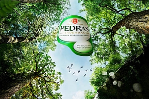 国外Pedras天然矿泉水系列创意广告设计- 灵感