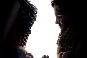 国外World For All流浪动物收养宣传公益广告设计- 灵感