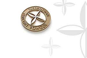 益生菌包装设计 益生元木盒包装设计 菊粉产品包装设计- 灵感