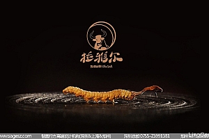 那曲冬虫夏草包装设计 虫草木盒包装设计 虫草木盒包装制作- 灵感