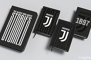 精心整理的一些国外优秀平面设计作品集(33)- 灵感