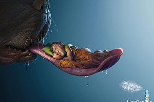 国外Febreze除异味喷剂系列创意广告设计欣赏- 灵感