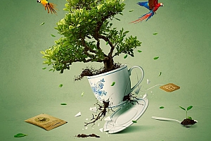 Green Tea茶品牌数码合成设计- 灵感