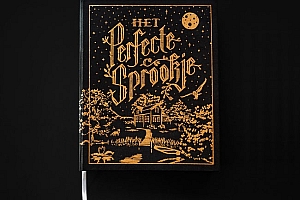 精美的《The Perfect Fairytale》书籍设计- 灵感