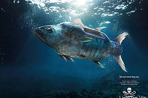SEA SHEPHERD海洋保护宣传公益广告- 灵感