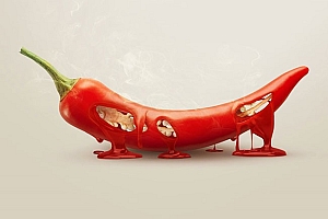 印尼Ferdi Rizkiyanto创意合成设计- 灵感