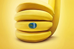 香蕉大王Chiquita金吉达香蕉平面广告设计- 灵感