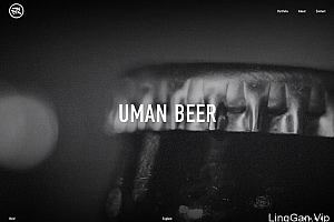 2019年2月,网站设计的最新趋势- 灵感