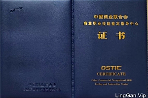 电子商务师证书被取消(高级电子商务师证书)- 灵感