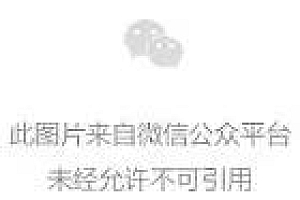 最好的网络营销师培训班(网络营销课程速成班)- 灵感