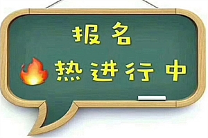 教师资格证报考条件(网络营销与管理专业就业前景)- 灵感