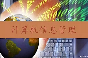 计算机信息管理专业就业前景(计算机信息管理有用吗)- 灵感