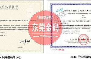 网络营销是干嘛的(网络营销实战专家)- 灵感