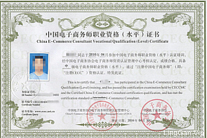 电子商务师职业标准(电子商务师职称)- 灵感